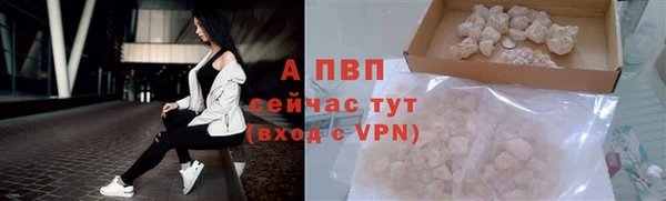 твердый Алексин