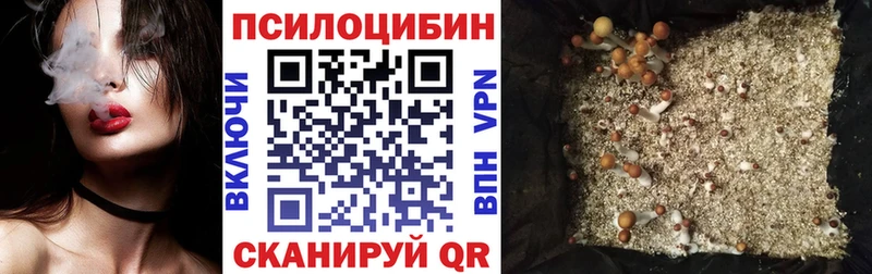 Галлюциногенные грибы MAGIC MUSHROOMS  MEGA зеркало  Дубовка  цены  